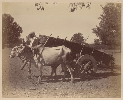 Landbouwwagen, Guzerat door Unknown artist