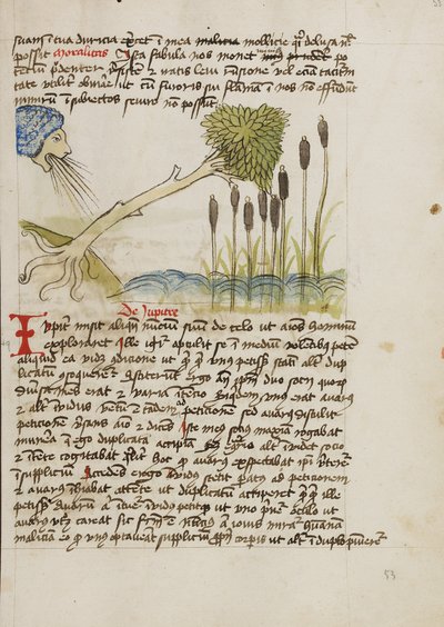Een eikenboom ontworteld door sterke wind door Unknown artist