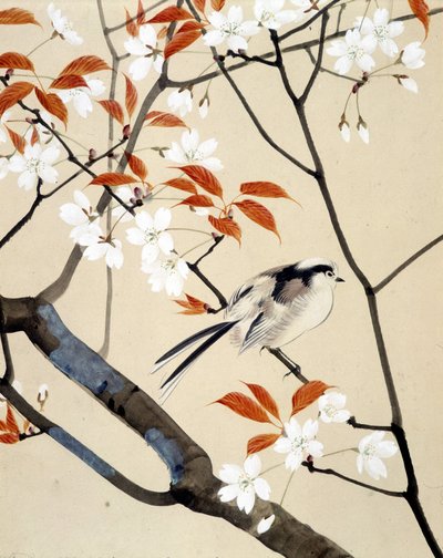 Vogel en bloeiende kersenboom - Japanse tekening door Riou Chim, eind 19e eeuw door Unknown artist