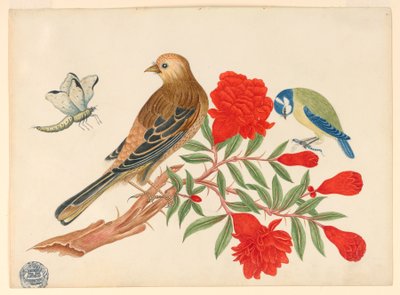 Bruin-en-Zwarte Vogel en Blauw-en-Gele Vogel op Tak met Rode Bloemen, Jacht op Insecten door Unknown artist