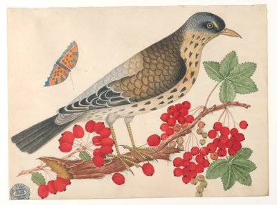 Bruine vogel op tak met kaki en een vlinder door Unknown artist