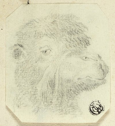 Kameelkop naar rechts door Unknown artist