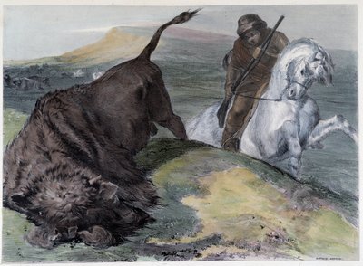 Canadese Huron Buffeljacht - in "Shyth