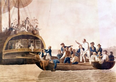 Kapitein William Bligh (1754 - 1817) van de Bounty verlaten door zijn bemanning door Unknown artist