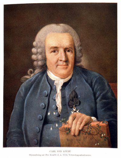 Carl Von Linné Zweedse natuuronderzoeker en schrijver door Unknown artist