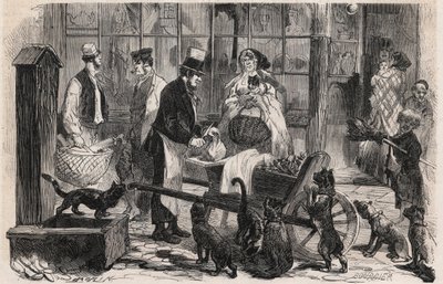Kattenvleesman op een straat in de wijk Westminster in Londen, een wandelende paardenvleesverkoper voor honden en katten - Gravure in 