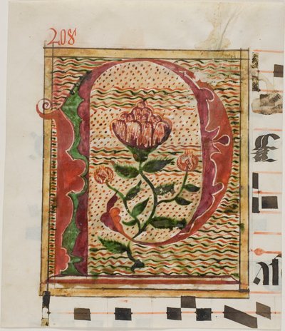 Versierde initiaal "P" met bloemen uit een manuscript door Unknown artist