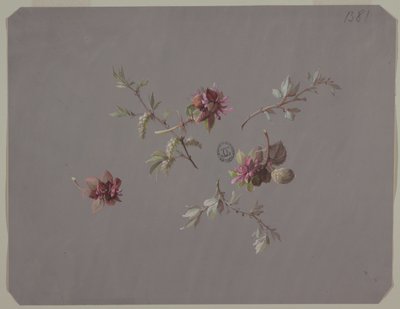 Ontwerp voor Behang en Textiel: Bloemen door Unknown artist