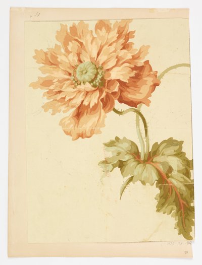 Tekening door Unknown artist