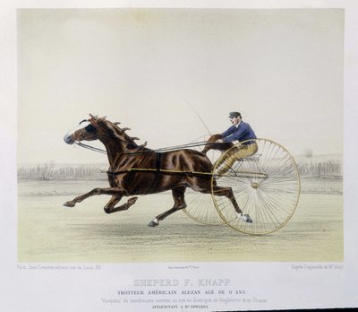 Paardrijden: Shepherd F. Knapp, draver - in "de centaur" door Unknown artist