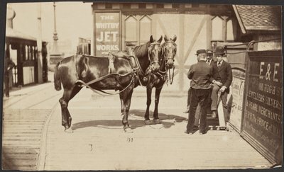 [Paarden buiten de Whitby Jet Works]. door Unknown artist