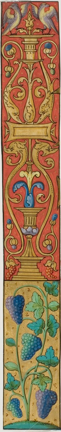Verluchte rand met druiven, vogels en grotesken uit een manuscript door Unknown artist