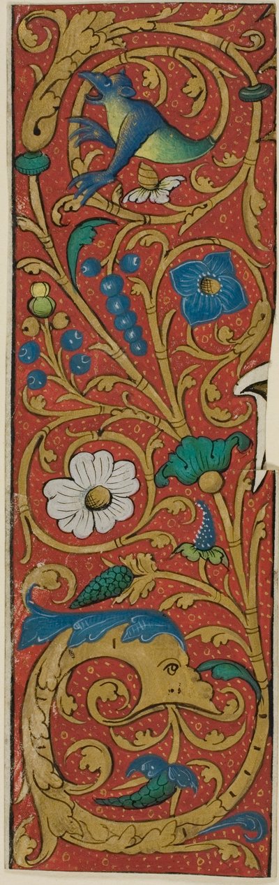 Verluchte rand met grotesken en bloemen uit een manuscript door Unknown artist