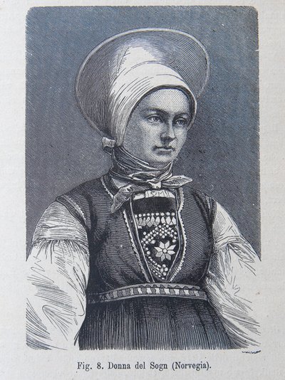 Illustratie uit "Het menselijk ras" door Louis Figuier door Unknown artist
