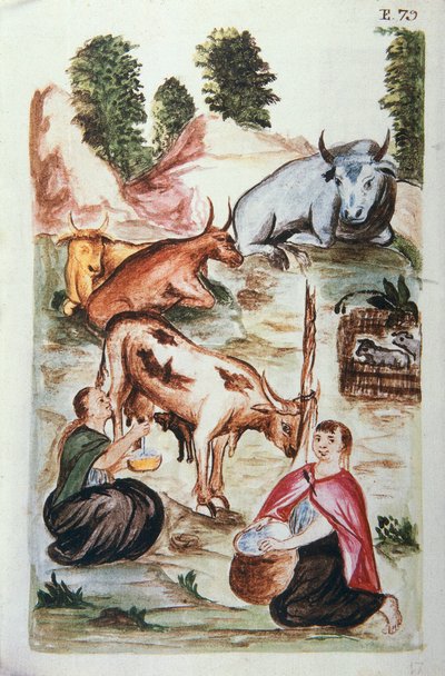 Indiase herders zorgen voor koeien, uit het boek "Trujillo del Peru" of "Códice Martínez Compañón", door Baltazar Martinez Compañón y Bujanda, bisschop van Trujillo (1782-1785) door Unknown artist