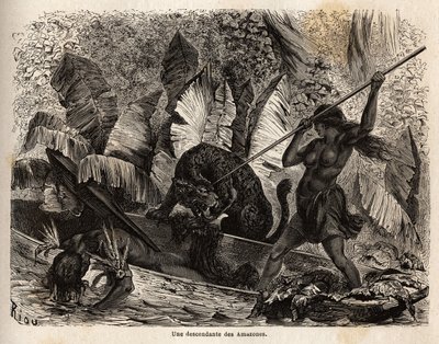 Indiase Ticuna (Peru) die met een speer een tijger aanvalt die net in zijn kano is gesprongen en zijn metgezel heeft verwond. De Ticuna