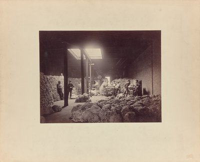 [Interieur van wolsorteerhuis, Walter Brown and Company]. door Unknown artist