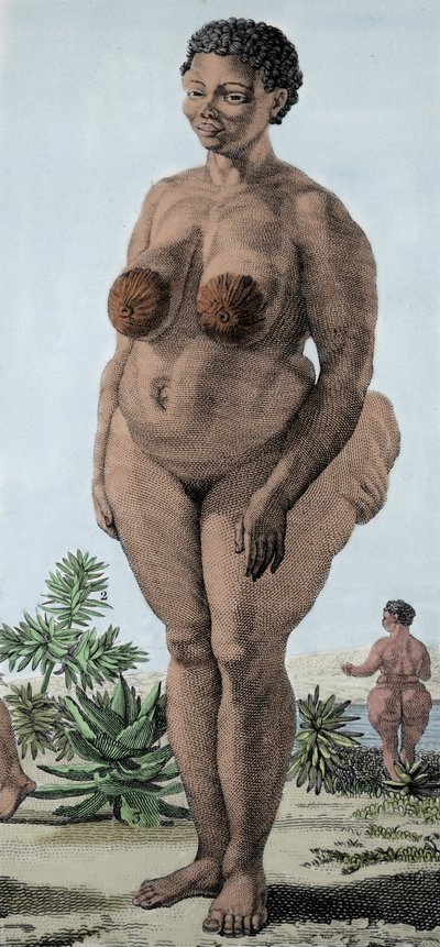 La Venus Hottentote, vrouw van het Bochiman-ras; gravure uit 1815. door Unknown artist