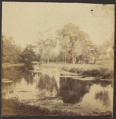 [Landschap met vijver] door Unknown artist
