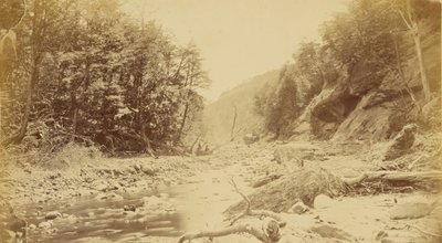 [Landschap met een rivier, mogelijk in Zuid-Amerika]. door Unknown artist