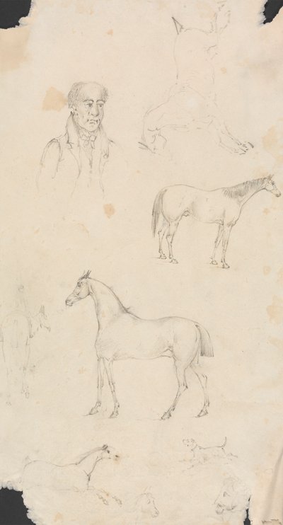 Man, Paarden en Honden door Unknown artist