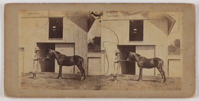 [Man die paard bij hoofdstel vasthoudt] door Unknown artist