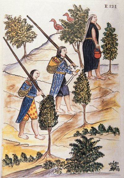 Motilones-indianen gaan jagen, uit het boek "Trujillo del Peru" of "Códice Martínez Compañón", door Baltazar Martinez Compañón y Bujanda, bisschop van Trujillo (1782-1785) door Unknown artist