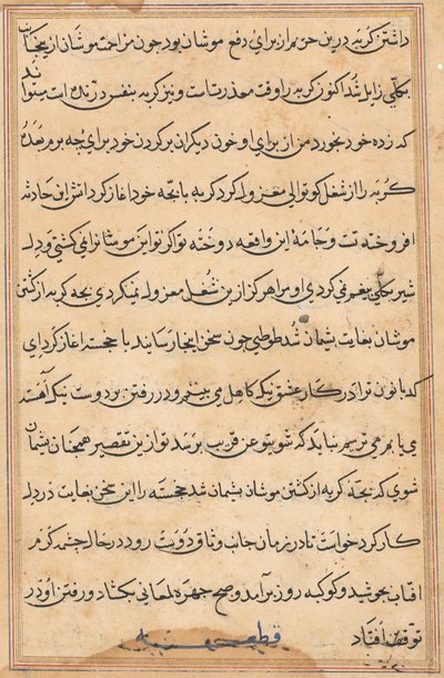 Pagina uit Verhalen van een Papegaai (Tuti-nama): tekstpagina door Unknown artist