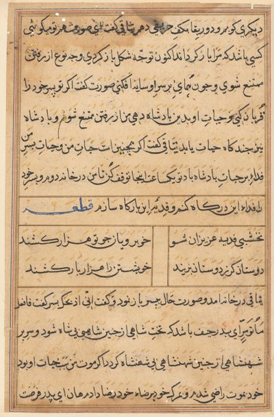 Pagina uit Verhalen van een Papegaai (Tuti-nama): tekstpagina door Unknown artist