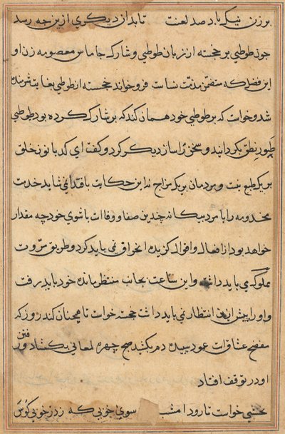 Pagina uit Verhalen van een Papegaai (Tuti-nama): tekstpagina door Unknown artist