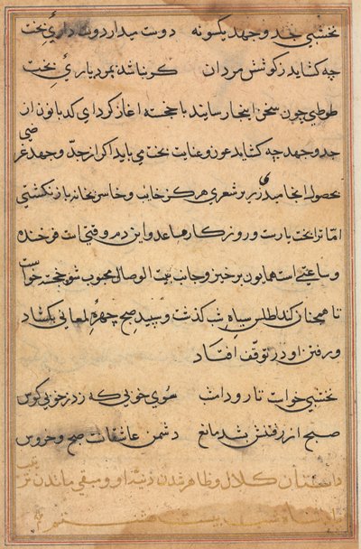 Pagina uit Verhalen van een Papegaai (Tuti-nama): tekstpagina door Unknown artist