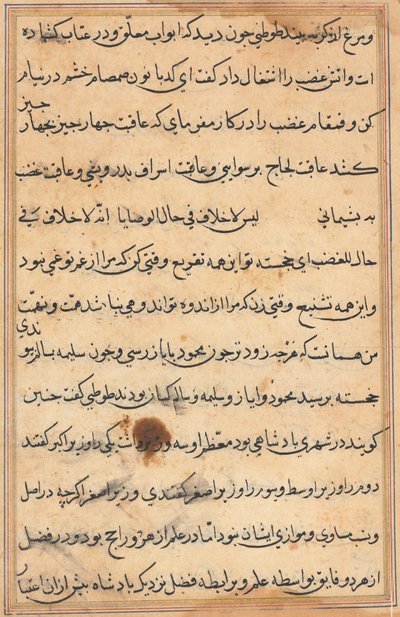 Pagina uit Verhalen van een Papegaai (Tuti-nama): tekstpagina door Unknown artist