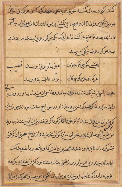 Pagina uit Verhalen van een Papegaai (Tuti-nama): tekstpagina door Unknown artist