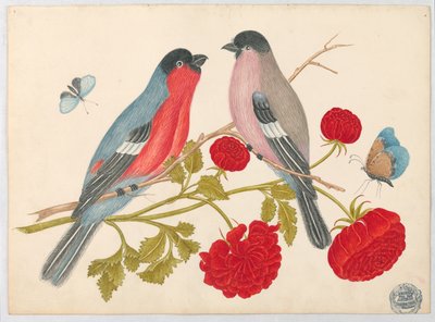 Paar Vogels op Tak met Rozen en Vlinders door Unknown artist