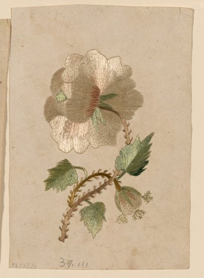 Patroon door Unknown artist