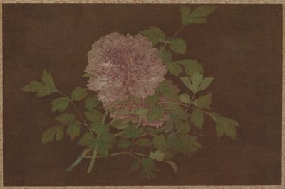Pioenen door Unknown artist