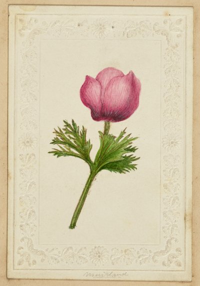 [Roze bloemen notitie kaart]. door Unknown artist