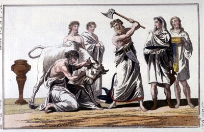 Offer van een stier onder de Kelten. Gravure uit de 19e eeuw. door Unknown artist