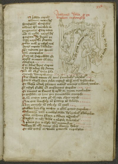 Speculum Humanae Salvationis door Unknown artist