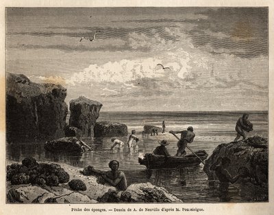 Sponsvissen door de eilandbewoners van Anastasia Island door Unknown artist