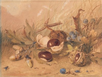 Stilleven met eikels en paardenkastanjes door Unknown artist