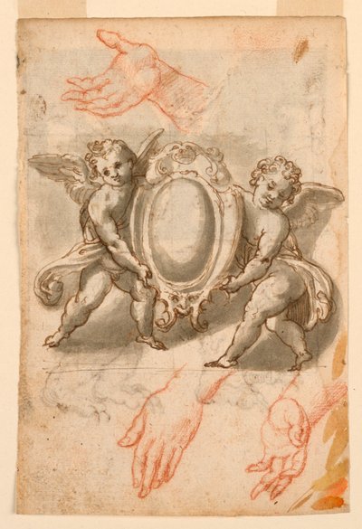 Studies van Handen en Putti met een Wapenschild door Unknown artist