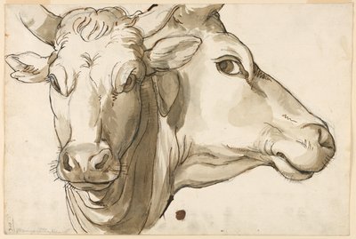 Studie van een koe door Unknown artist