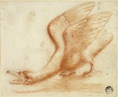 Zwaan door Unknown artist