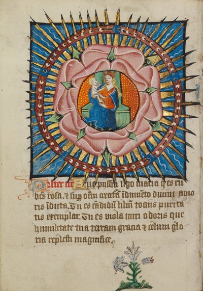 De Maagd en het Kind in een Roze Roos met een Witte Lelie door Unknown artist