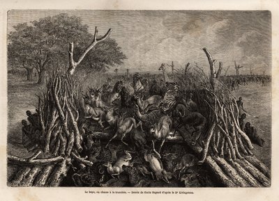 De hopo of jachttechniek in de greppel, die bestaat uit een val van 2 heggen die elkaar naderen in een V, leidend naar een put waar het wild in valt, in zeer grote hoeveelheden, na te zijn geleid door de kreten van de jagers. Gravure ter illustratie door Unknown artist