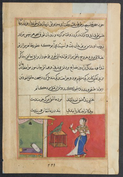De papegaai spreekt Khujasta aan het begin van de zevenenveertigste nacht, uit een Tuti-nama (Verhalen van een Papegaai): Zevenenveertigste Nacht door Unknown artist