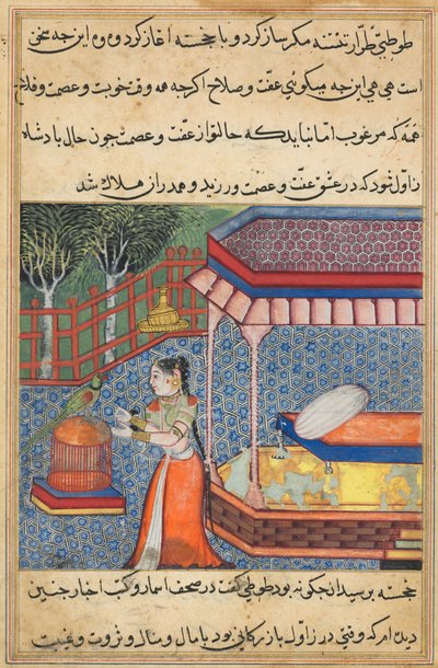 De papegaai spreekt Khujasta aan het begin van de zesendertigste nacht, uit een Tuti-nama (Verhalen van een Papegaai) door Unknown artist