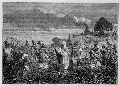 De wijnstokken ontworteld in de Galliërs, op bevel van keizer Domitianus - in De wonderen van de industrie door Louis Figuier, Parijs door Unknown artist