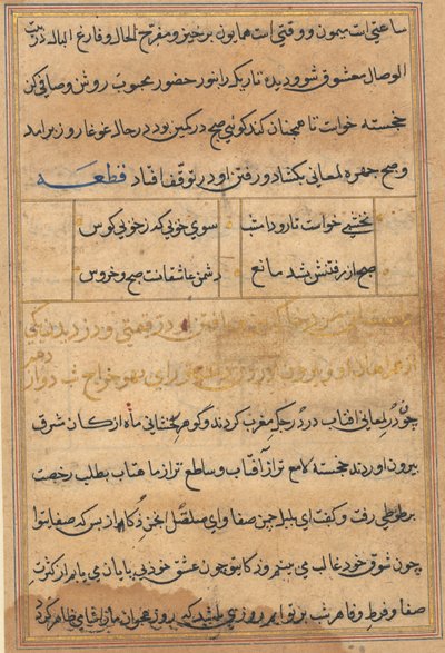Tuti-Nama (Verhalen van een Papegaai) door Unknown artist